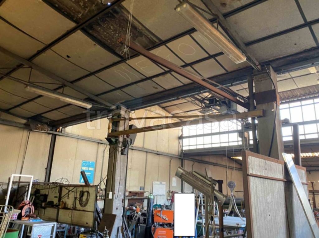 immagine annuncio 4 di 13