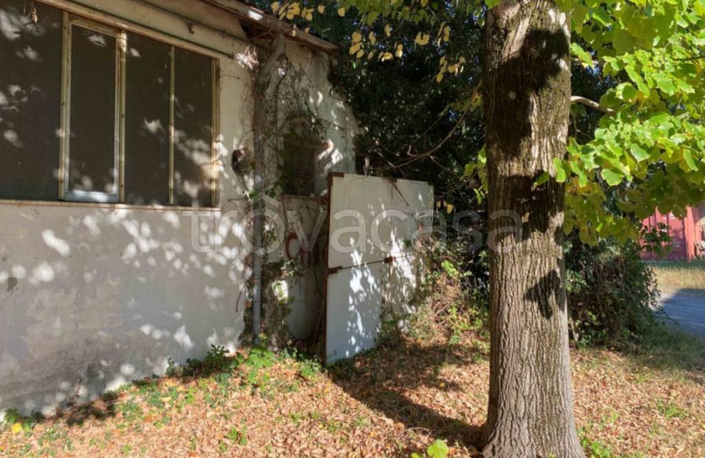 immagine annuncio 9 di 13