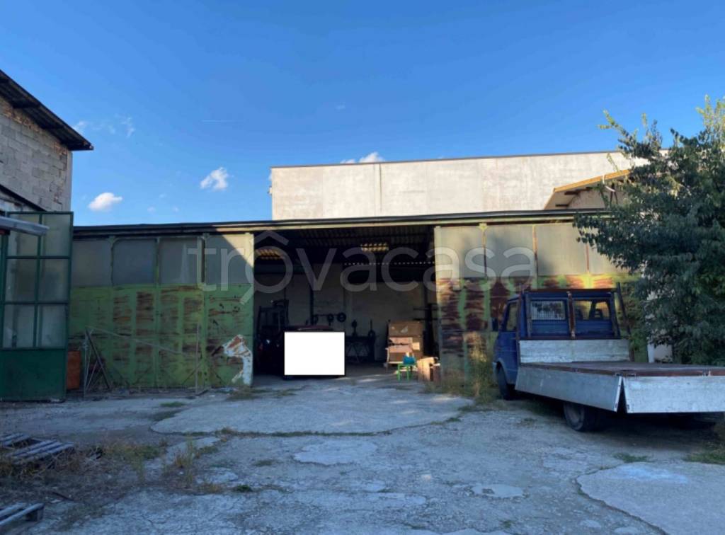 immagine annuncio 3 di 13