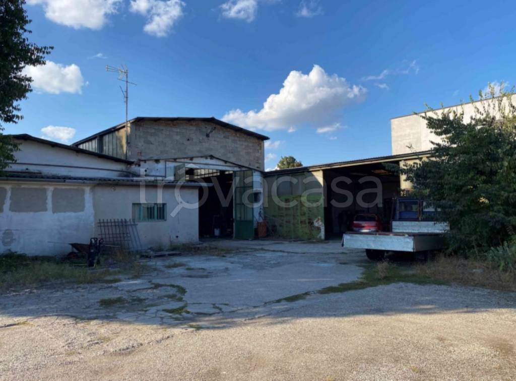 immagine annuncio 2 di 13