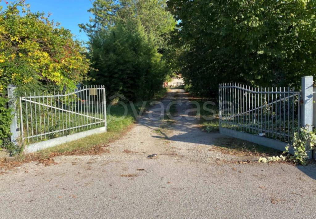 immagine annuncio 11 di 13