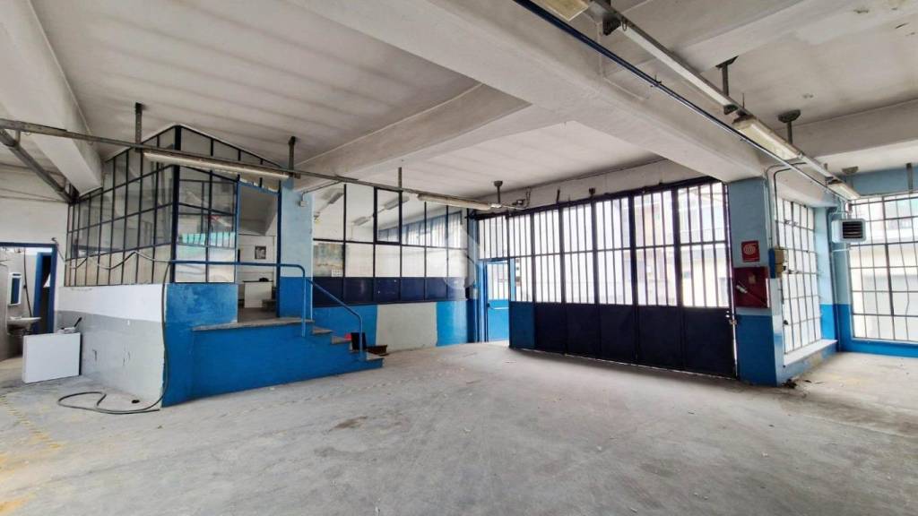 immagine annuncio 9 di 15