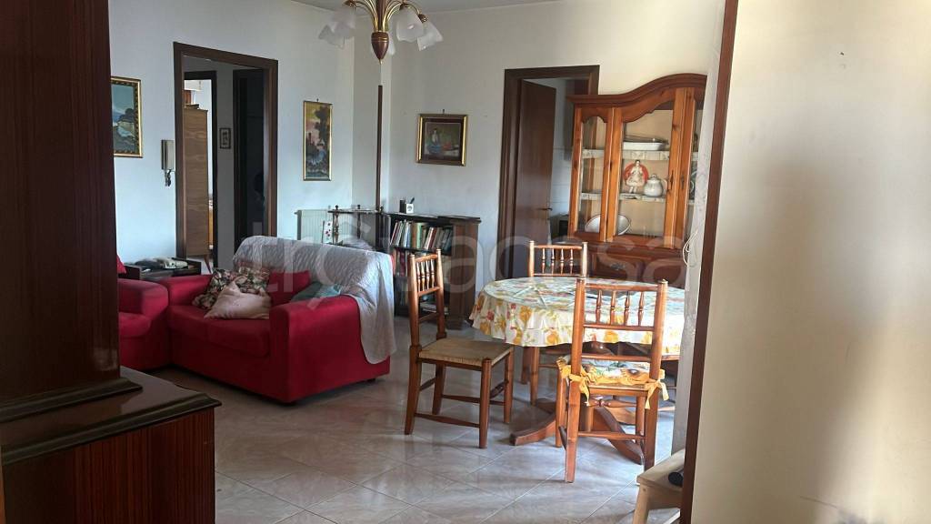 immagine annuncio 3 di 13