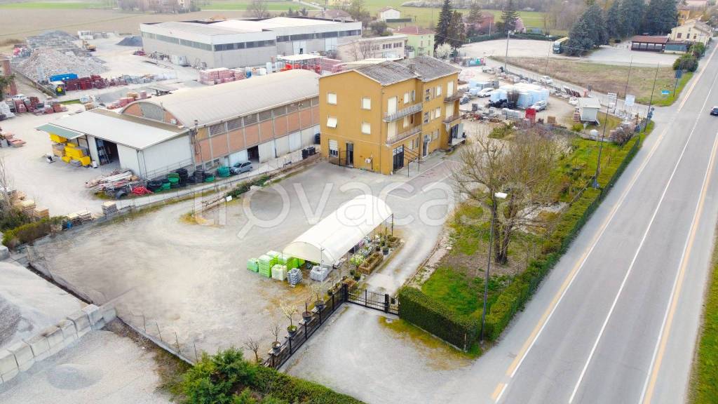 immagine annuncio 6 di 13