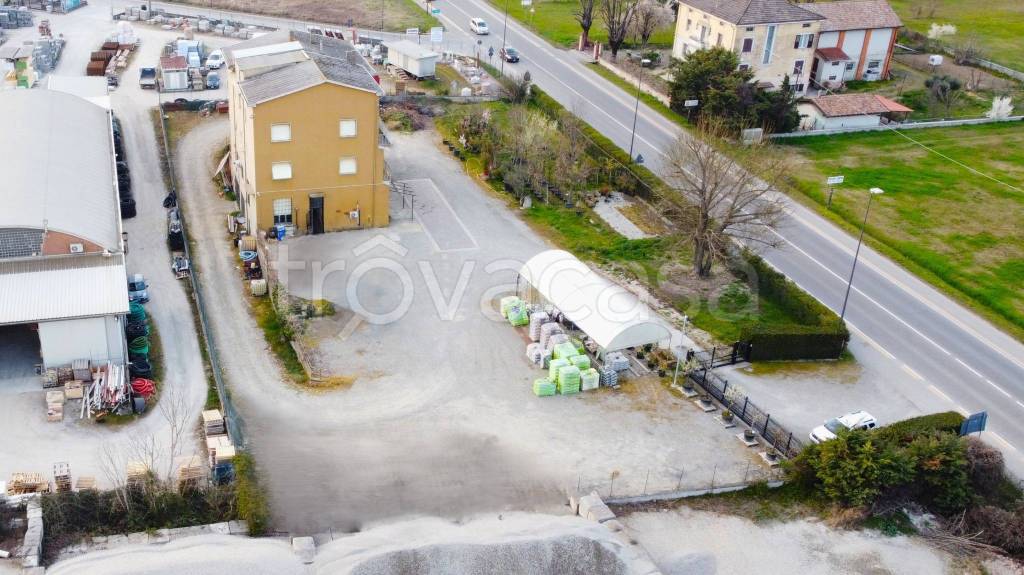 immagine annuncio 9 di 13