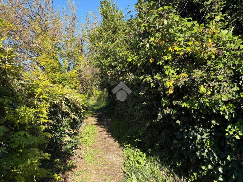 immagine annuncio 3 di 11