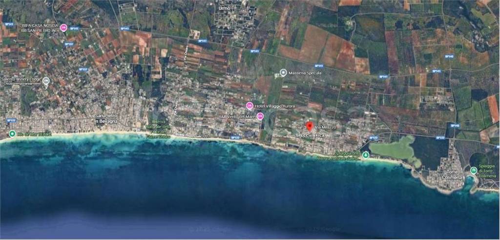 immagine annuncio 14 di 15