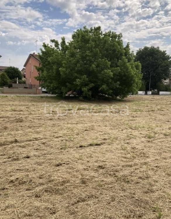 immagine annuncio 3 di 7