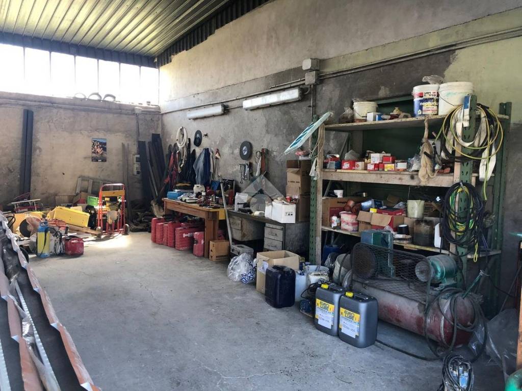 immagine annuncio 9 di 15