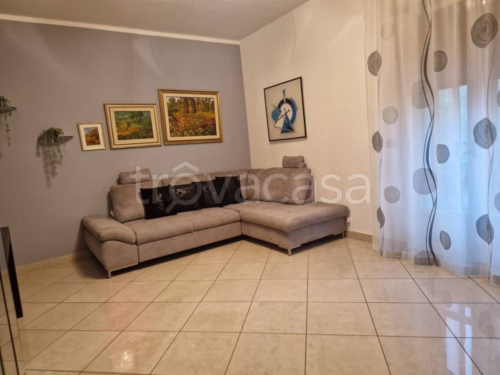 immagine annuncio 2 di 12