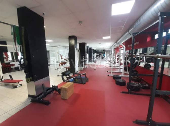 immagine annuncio 6 di 15