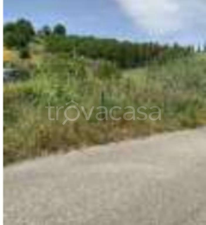 immagine annuncio 10 di 12