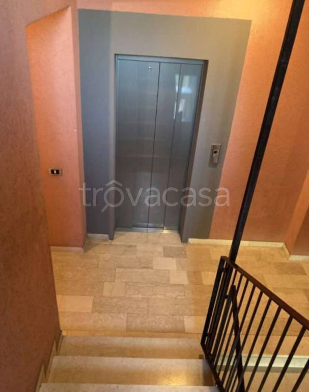 immagine annuncio 3 di 12