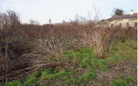 immagine annuncio 3 di 8