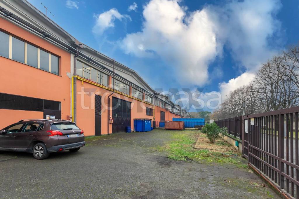 immagine annuncio 3 di 15