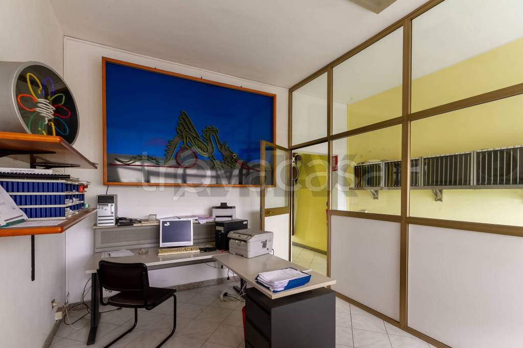 immagine annuncio 5 di 15