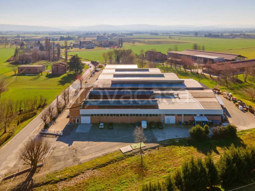 immagine annuncio 2 di 11