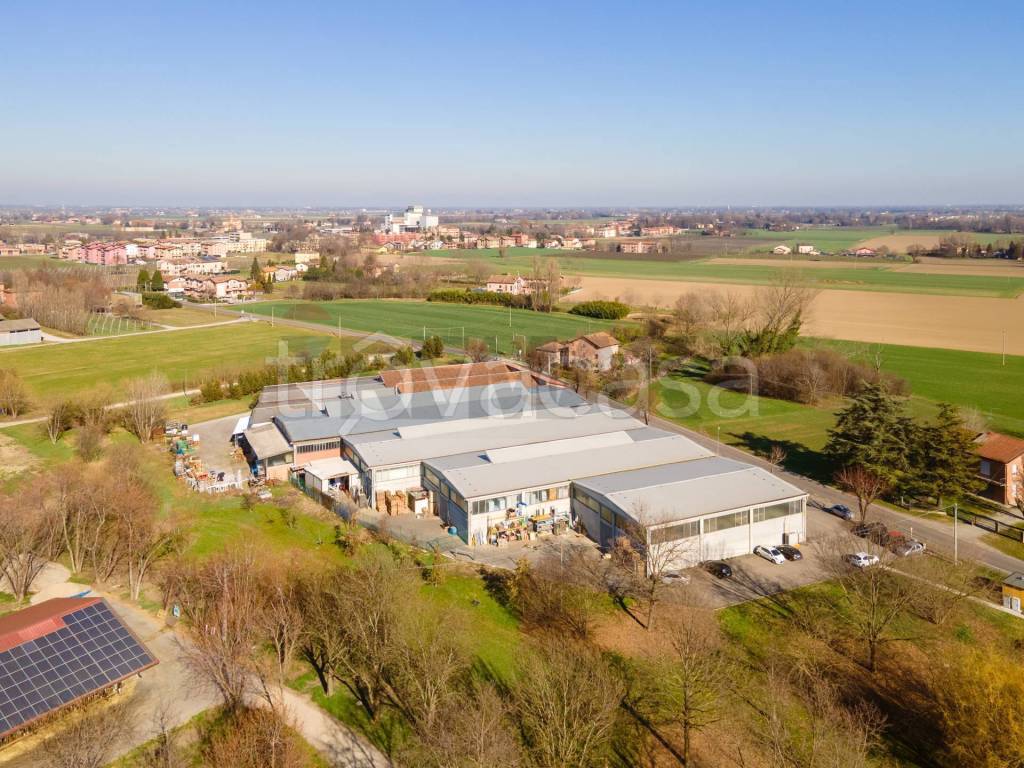 immagine annuncio 6 di 11