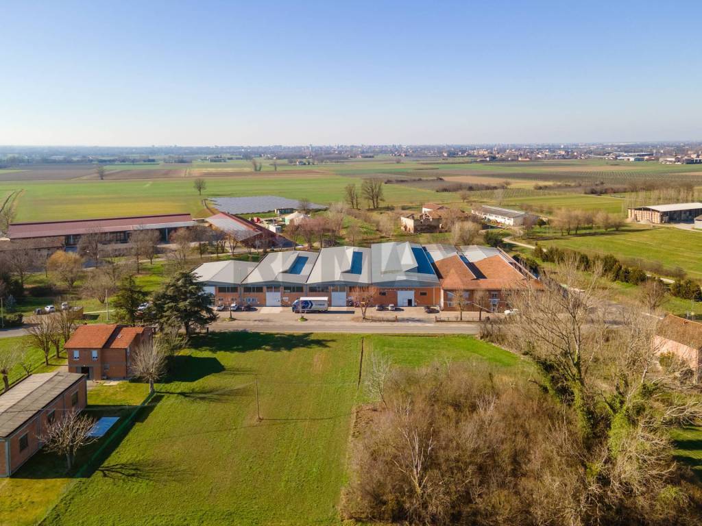 immagine annuncio 9 di 11