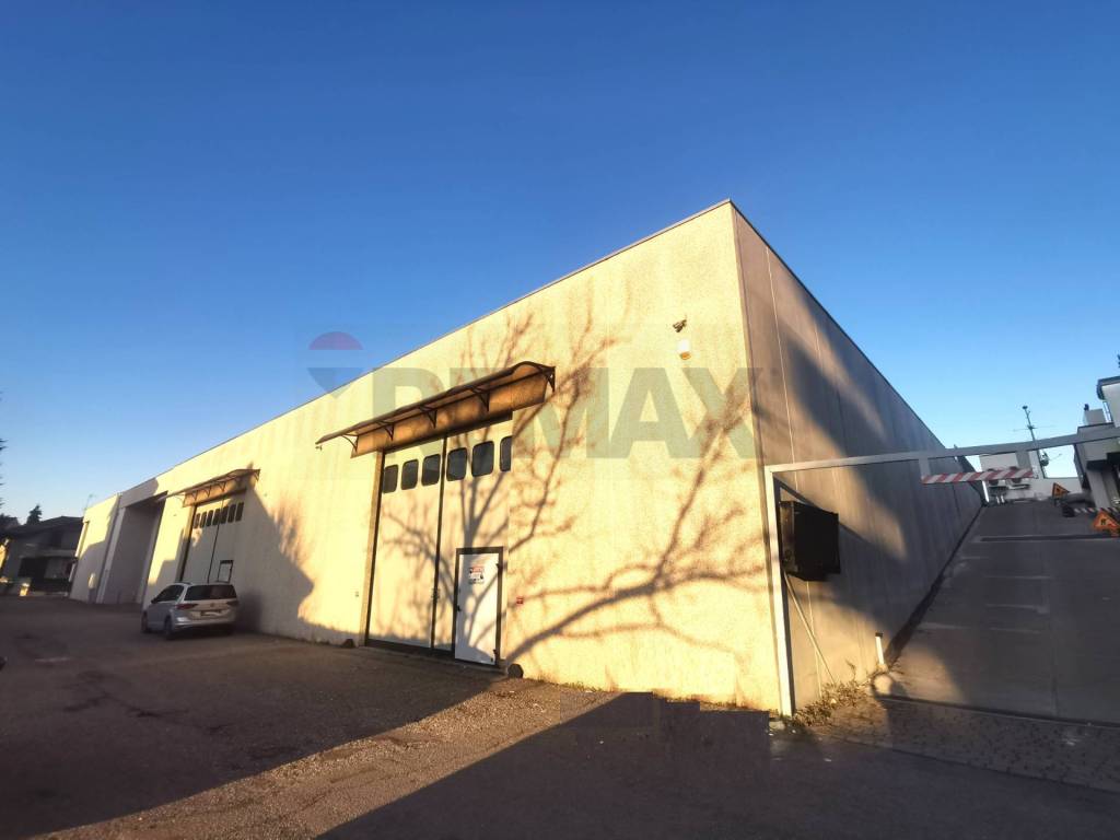 immagine annuncio 3 di 15