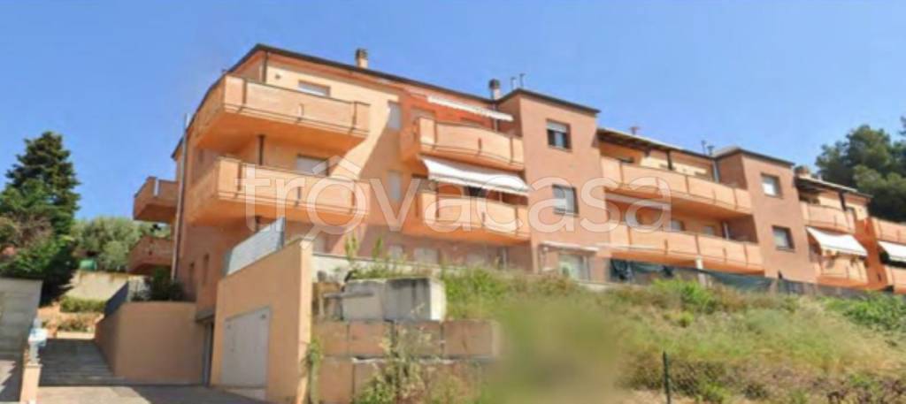 immagine annuncio 2 di 12