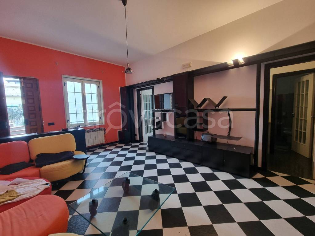 immagine annuncio 2 di 14