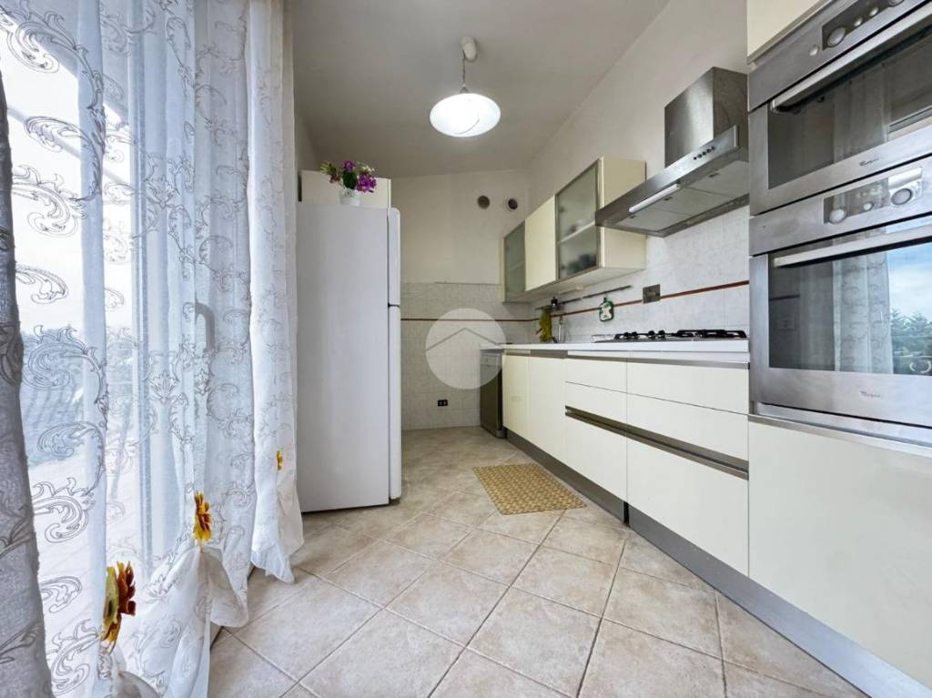 immagine annuncio 5 di 11