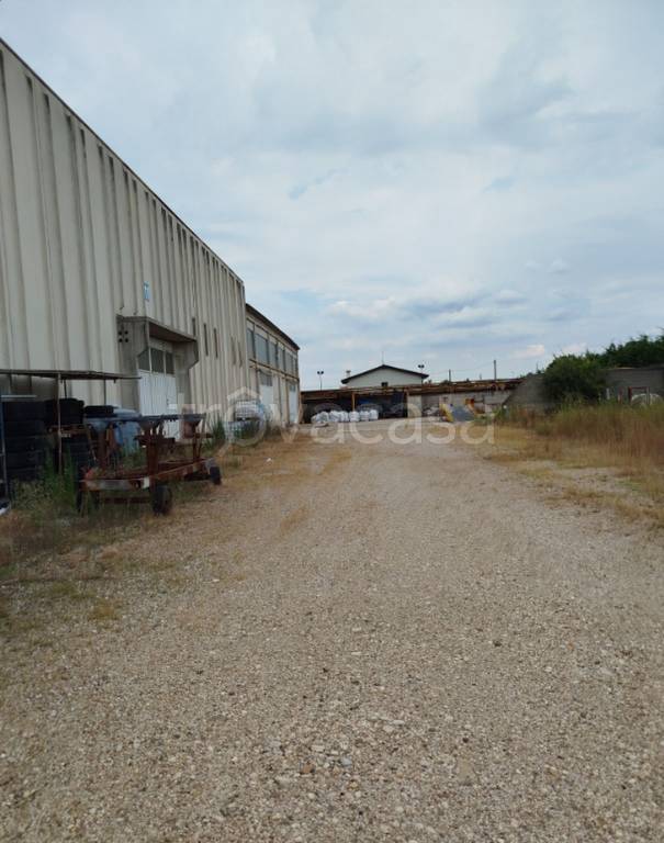 immagine annuncio 1 di 11