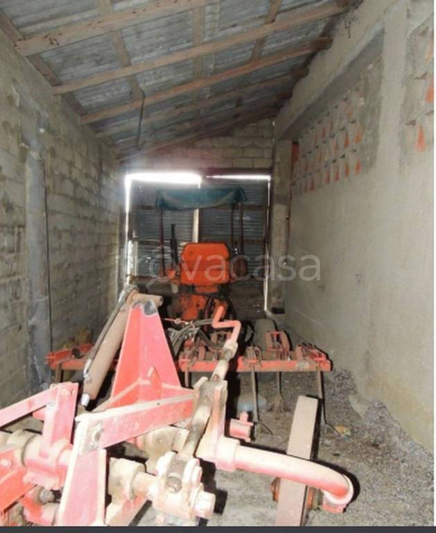 immagine annuncio 2 di 11