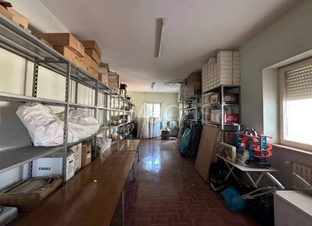 immagine annuncio 2 di 11