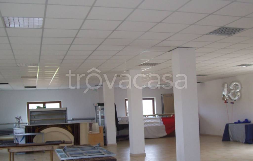 immagine annuncio 7 di 12