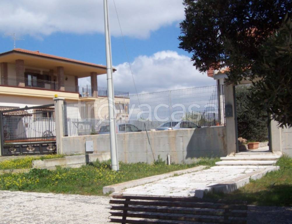 immagine annuncio 10 di 12