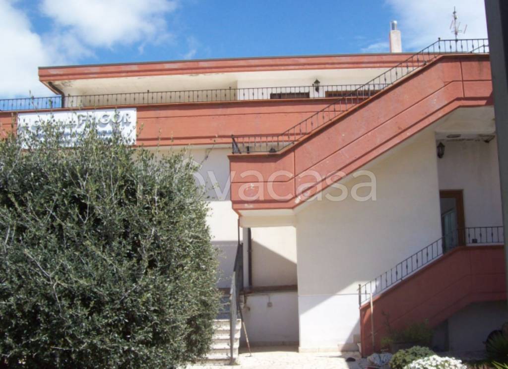 immagine annuncio 11 di 12