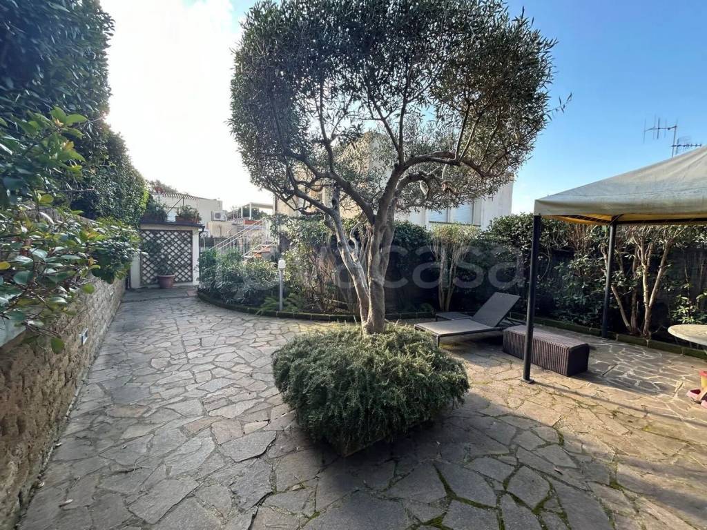 immagine annuncio 3 di 14