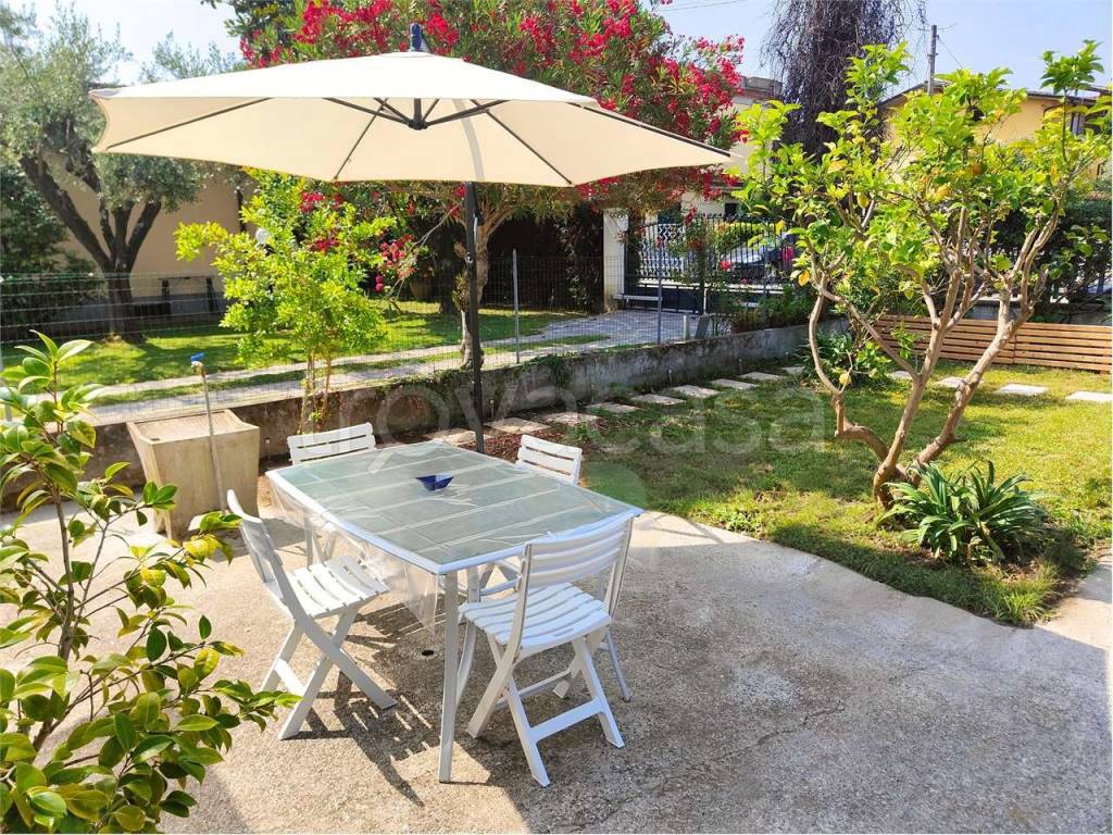 immagine annuncio 11 di 12