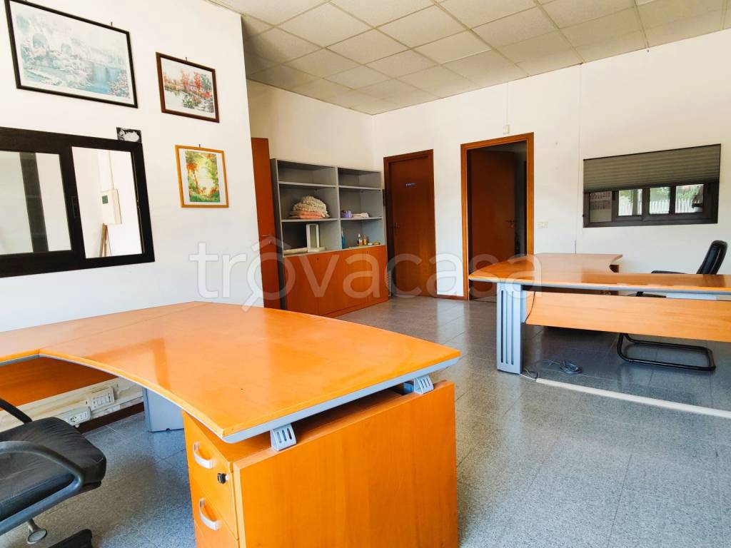 immagine annuncio 6 di 12