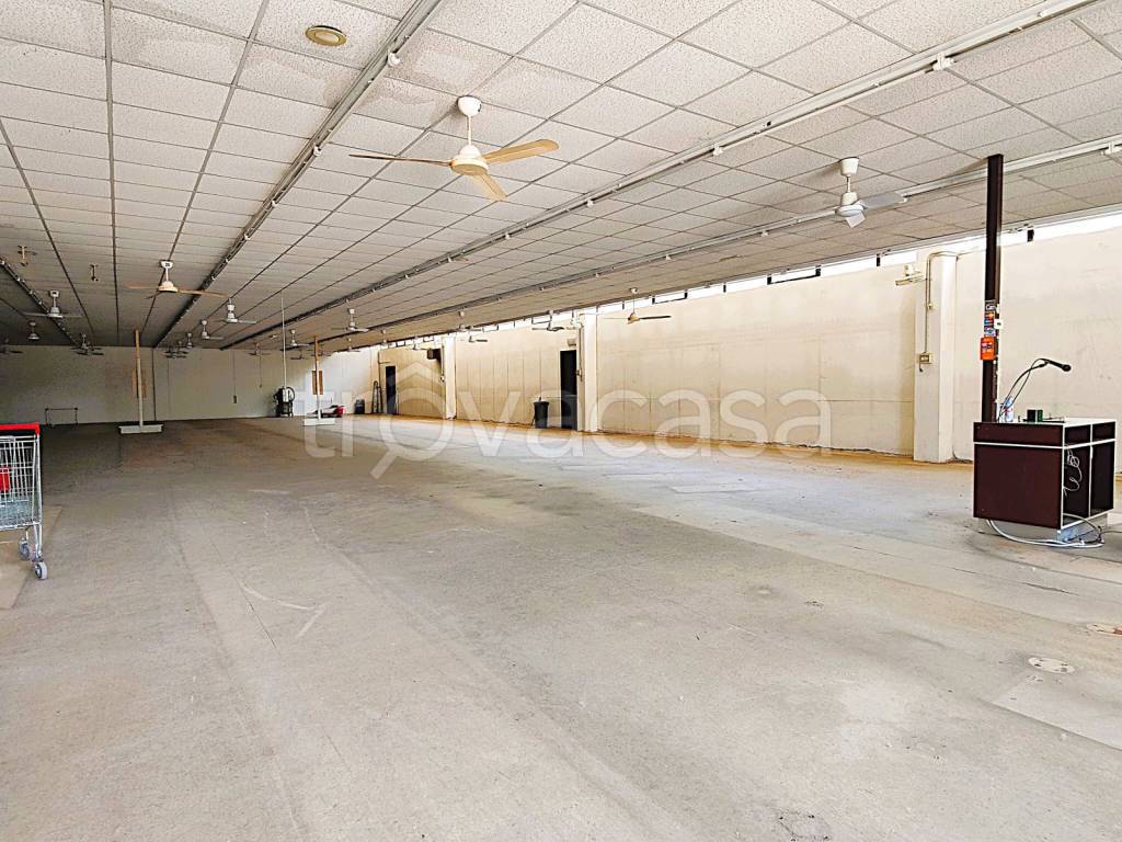 immagine annuncio 7 di 12