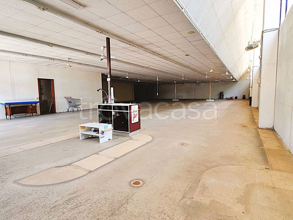 immagine annuncio 8 di 12