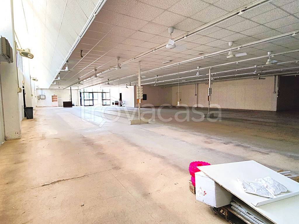 immagine annuncio 9 di 12