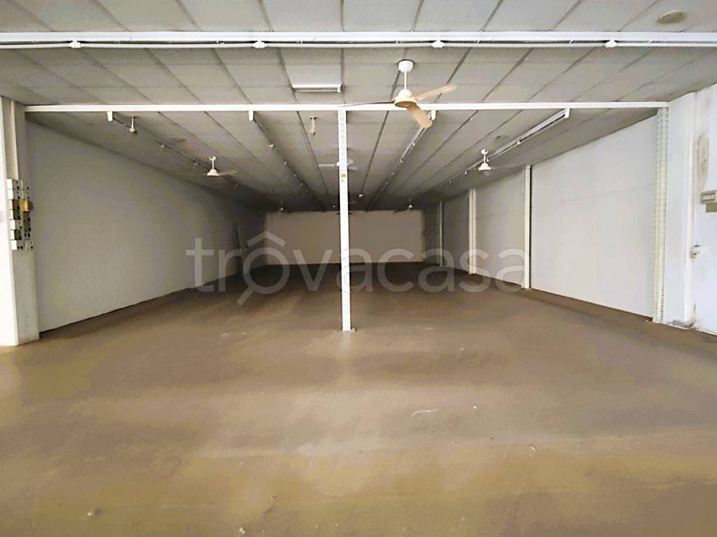 immagine annuncio 10 di 12