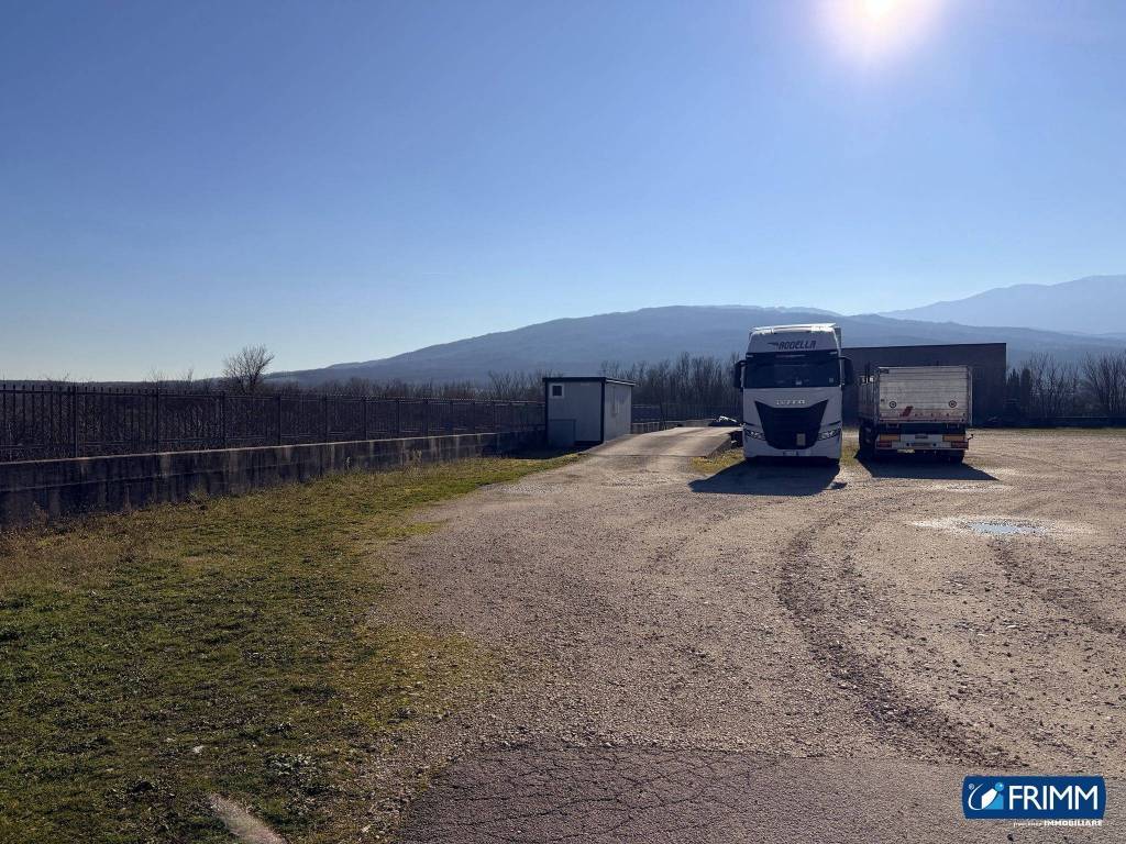 immagine annuncio 3 di 11