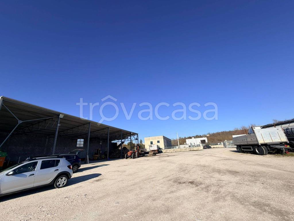 immagine annuncio 5 di 11