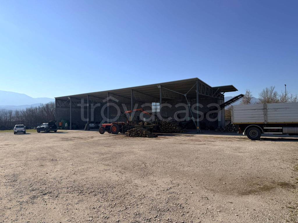 immagine annuncio 8 di 11