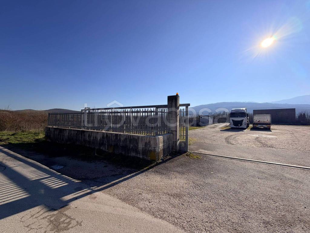 immagine annuncio 9 di 11