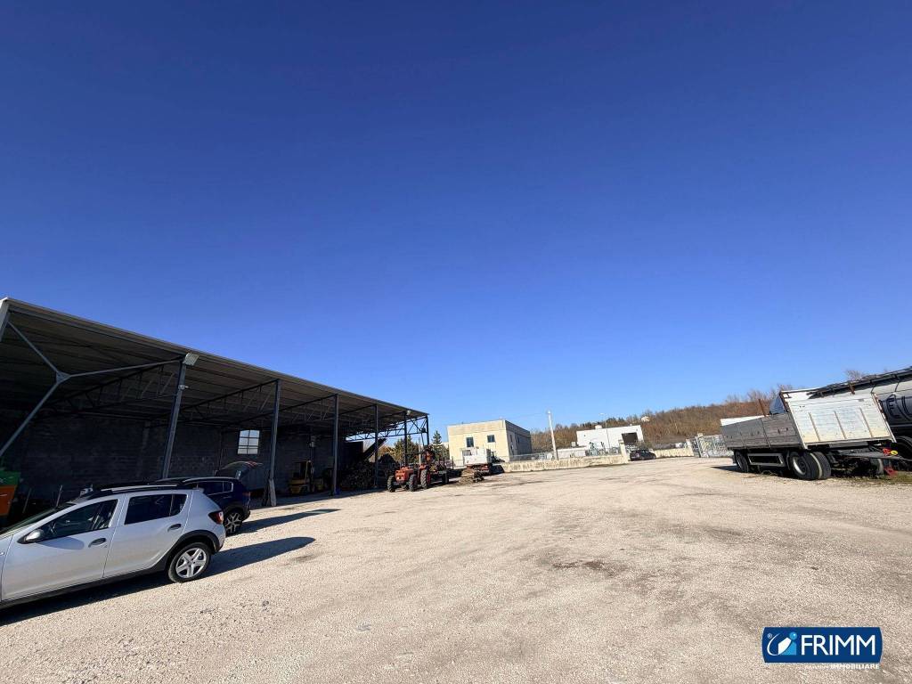 immagine annuncio 10 di 11