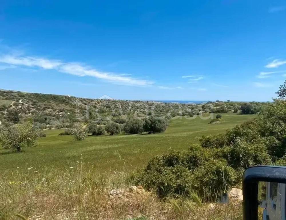 immagine annuncio 5 di 6