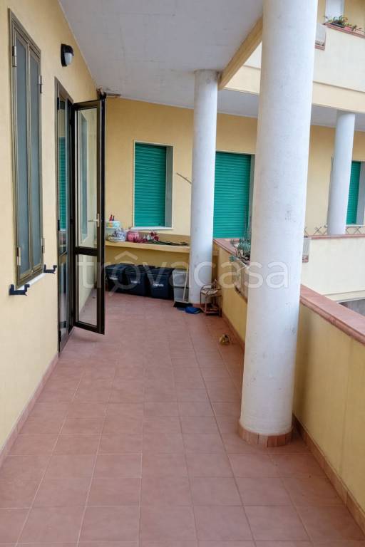 immagine annuncio 9 di 12