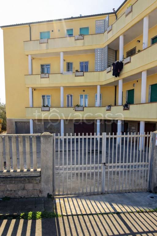 immagine annuncio 11 di 12