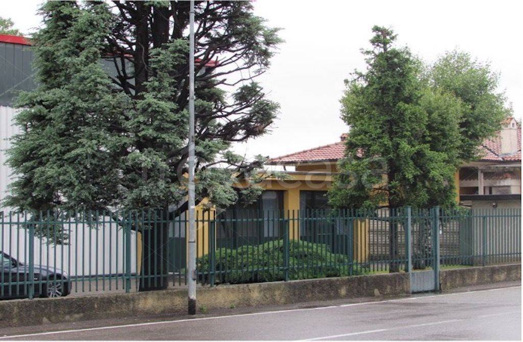 immagine annuncio 5 di 7