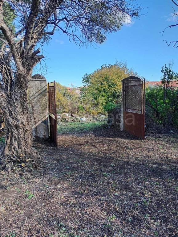 immagine annuncio 7 di 14